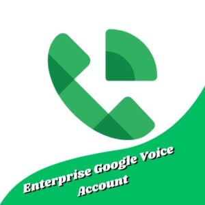 Business Google Voice Account